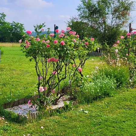 Le Doux Sin 아파트 Habas